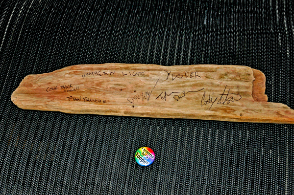 driftwood and pin